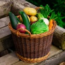 Hagekurv Astrid | flettet av pil | ø35x28cm thumbnail