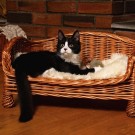 Dyreseng Trollkonge M | flettet av pil | 55x40x27cm thumbnail