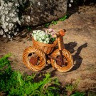 Blomsterkurv Liten Sykkel | naturpil | 30x20x25cm \ thumbnail